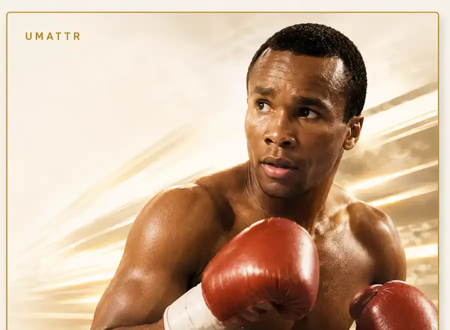 Sugar Ray Leonard spotlight artwork